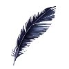 crow feather item gifts icon deaths gambit afterlife wiki guide 250px