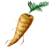 golden-carrot-icon-items-equipment-deaths-gambit-wiki-guide