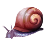 snail-icon-items-equipment-deaths-gambit-wiki-guide
